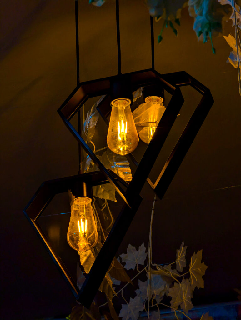 PXL_20241014_124325740.NIGHT