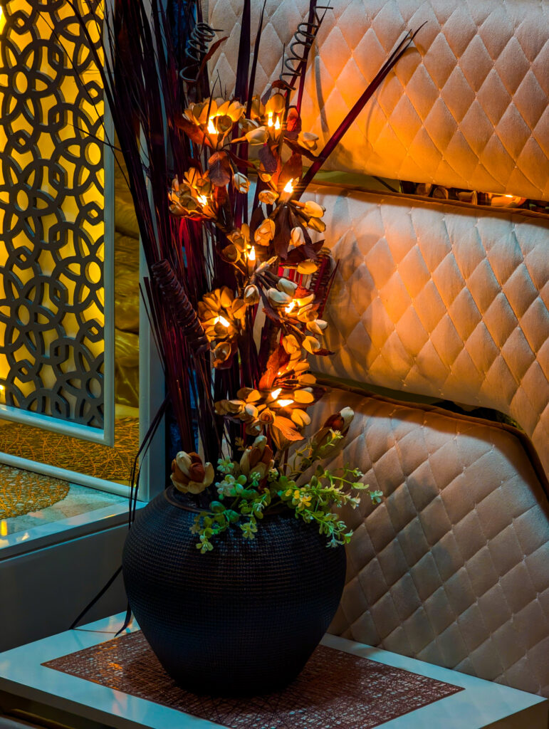 PXL_20241014_124355112.NIGHT