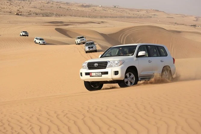 Eco-Friendly Desert Safari VIP (Shared) in Dubai Practices