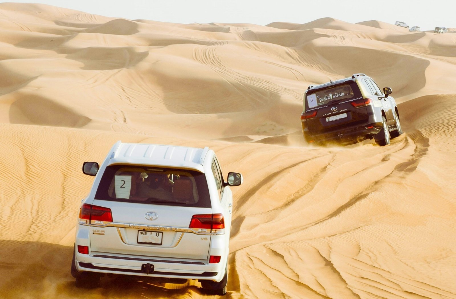 Eco-Friendly Dubai Desert Safari tours Premium (Private) Practices