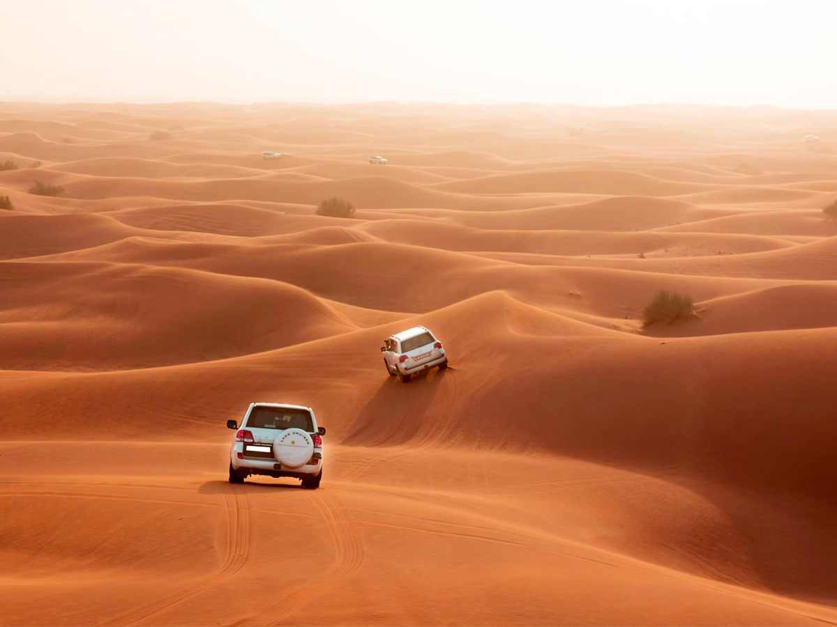 Eco-Friendly Cheap Desert Safari in Dubai Practices