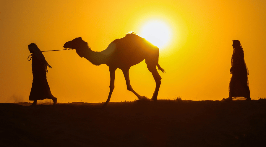 Evening camel desert safari Dubai