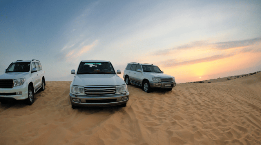 Evening Desert Safari Premium (Shared) Tour in Dubai